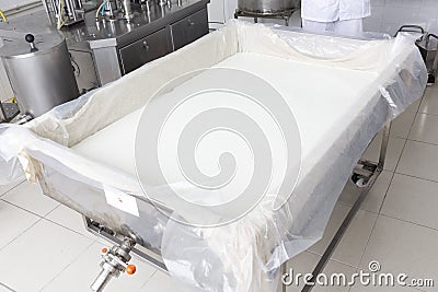 Cheese production creamery dairy cheese batch Stock Photo