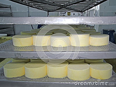 Cheese production Stock Photo