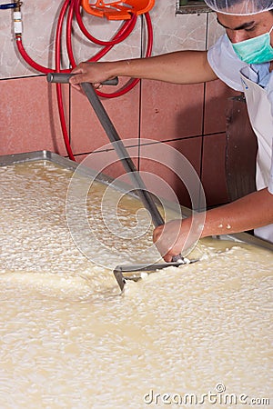 Cheese production plant worker Stock Photo