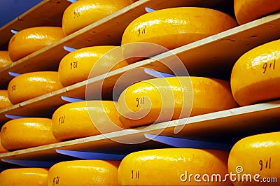 Cheese Rounds Stock Photo