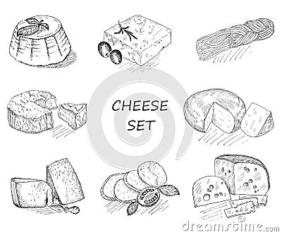 Cheese set Vector Illustration