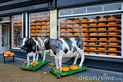 Cheese shop with heads of cheese in shop window and cow statues in Netherlands Editorial Stock Photo