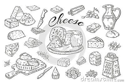 Cheese sketch. Hand drawn milk products, gourmet food slices, cheddar Parmesan brie. Vector breakfast vintage Vector Illustration