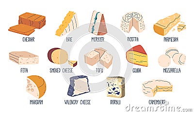 Cheese Types. Brie, Morbier And Dorblu, Valencay or Smoked. Camembert, Valencay And Parmesan, Cheddar, Maasdam Vector Illustration