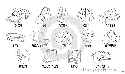 Cheese Types. Brie, Morbier And Dorblu, Valencay or Smoked. Camembert, Valencay And Parmesan, Cheddar, Maasdam Vector Illustration