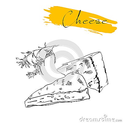 Cheese types. Delicious fresh cheese variet cheese Cartoon Illustration