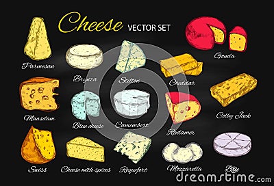 Cheese vector collection. Hand drawn illustration of cheese types Brie, Mozzarella, Stilton, Blue cheese, Camembert Vector Illustration