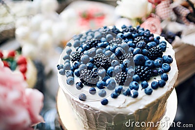 Cheesecake with fresh blueberries on wooden table, rustic style, place for your text up Stock Photo