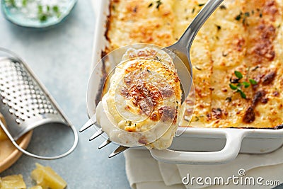 Cheesy scalloped potatoes Stock Photo