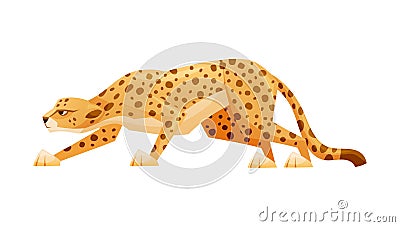 Cheetah as African Large Cat with Long Tail and Black Spots on Coat Sneaking to Victim Vector Illustration Vector Illustration