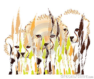 Cheetah cubs Vector Illustration