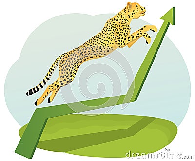 Cheetah Vector Illustration