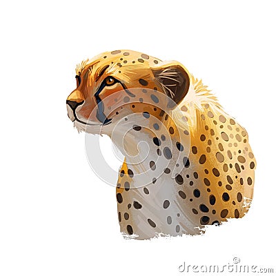 Cheetah large cat from North, Southern East Africa isolated digital art illustration. Southeast African cheetah hand drawn Cartoon Illustration