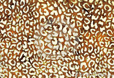 Cheetah print pattern Stock Photo