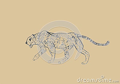 Cheetah prowling. Black line drawing Isolated on light gray background. Hand drawn illustration. Pencil sketch. Cartoon Illustration