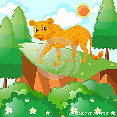 Cheetah tiger on the cliff Vector Illustration