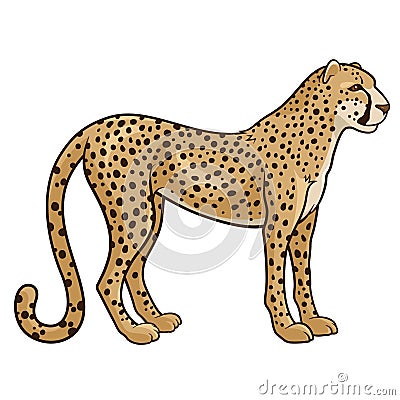 Cheetah Royalty Free Stock Photography - Image: 37408137