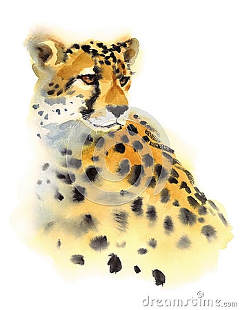 Cheetah Watercolor Wild Animal Illustration Hand Painted Stock Photo