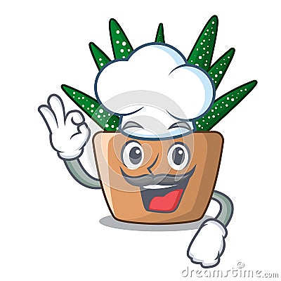 Chef character small zebra cactus plant on pot Vector Illustration