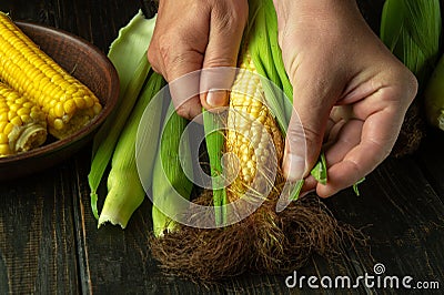 The chef cleans the corn with his hands to prepare for dinner. The idea of a maize diet or dessert Stock Photo