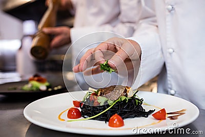 Chef garnishing meal on counter Stock Photo