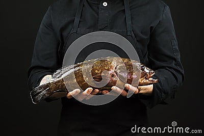 Chef holding a big fish in his hands on black background Stock Photo