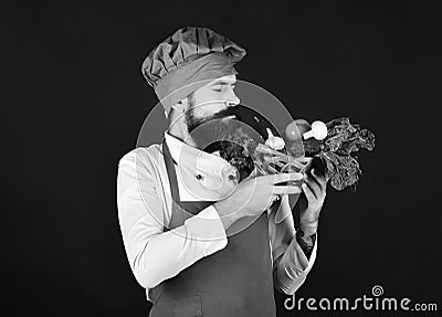 Chef holds lettuce, tomato, pepper and mushrooms. Stock Photo