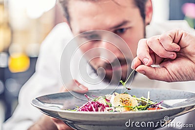 Chef in hotel or restaurant kitchen preparing food. Stock Photo