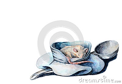 Chef mouse sleeping in the kitchen Cartoon Illustration