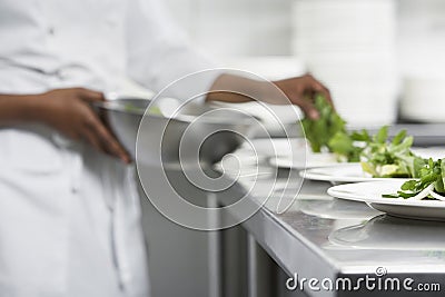 Chef Preparing Salad Stock Photo