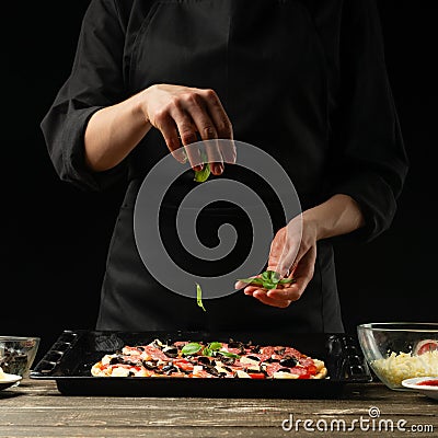 The chef sprinkles pizza with basil leaves. Freeze in motion. A concept of delicious food and healthy food. On a black background Stock Photo