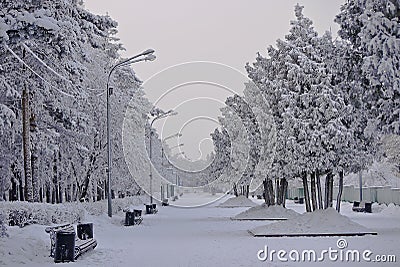 Chelyabinsk. Gagarin`s park in the winter. Stock Photo