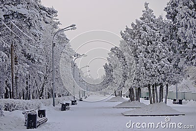 Chelyabinsk. Gagarin's park in the winter. Stock Photo