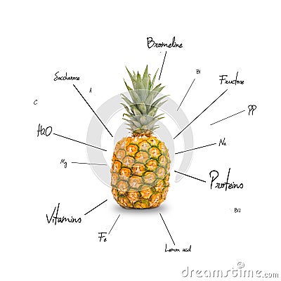 The Chemical Composition Of Pineapple Stock Illustration - Image: 58396118