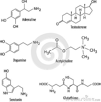 Chemical formulas of neurotransmitters and similar substances in human body Vector Illustration