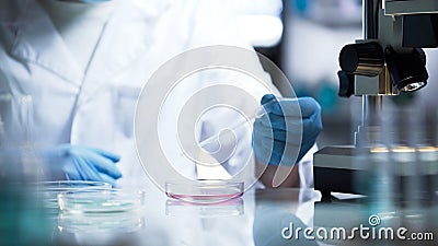 Chemical lab developing new substance for production of household chemicals Stock Photo