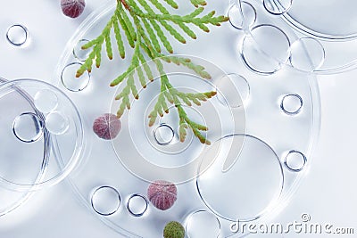 Chemical laboratory research. Abstract cosmetic laboratory. Glass model of molecules. Stock Photo