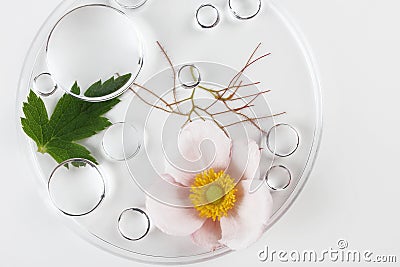 Chemical laboratory research. Abstract cosmetic laboratory. Glass model of molecules. Stock Photo