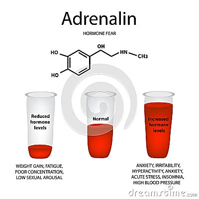 Chemical molecular formula of adrenaline hormone. Hormone fear a Cartoon Illustration