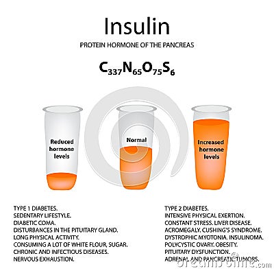 Chemical molecular formula of the hormone insulin. The hormone of the pancreas. Decrease and increase of insulin. Vector Illustration