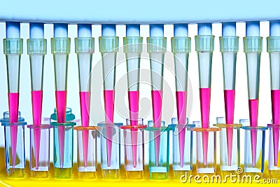 Chemical scientific laboratory multi channel pipette Stock Photo