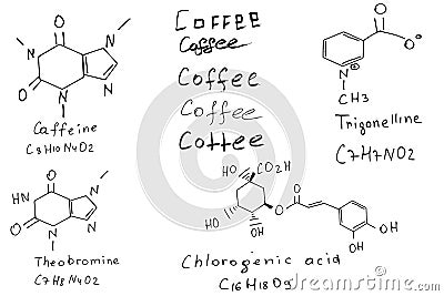 chemical structure of coffee. caffeine formula. Vector Illustration