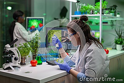 Chemist woman taking dna liquid from test tube with micropipette Stock Photo