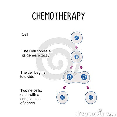 Chemotherapy: The use of drugs to treat cancer by targeting and killing cancer cells throughout the body Vector Illustration