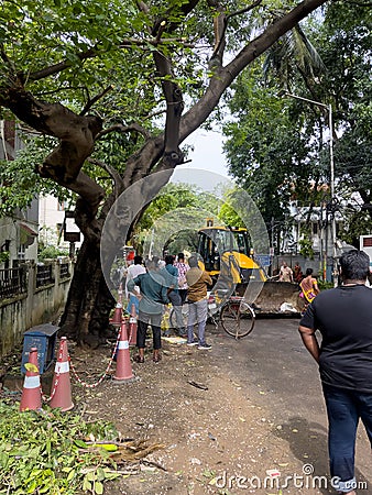 Chennai, Tamil Nadu, India - December 05 2023: Greater Chennai Corporation workers clearing out the debris froom the fallen tree Editorial Stock Photo