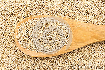 Golden Quinoa seed. Grains in wooden spoon. Close up. Stock Photo