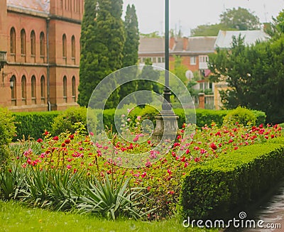 Chernivtsi National University, Residence of Bukovinian and Dalmatian Stock Photo