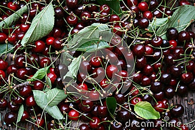 Cherries Stock Photo