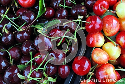 Cherries Stock Photo