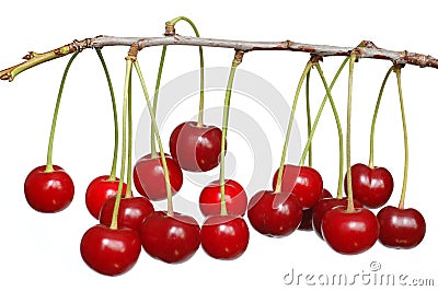 Cherries Stock Photo